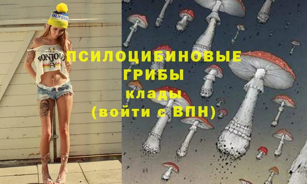 mdpv Аркадак